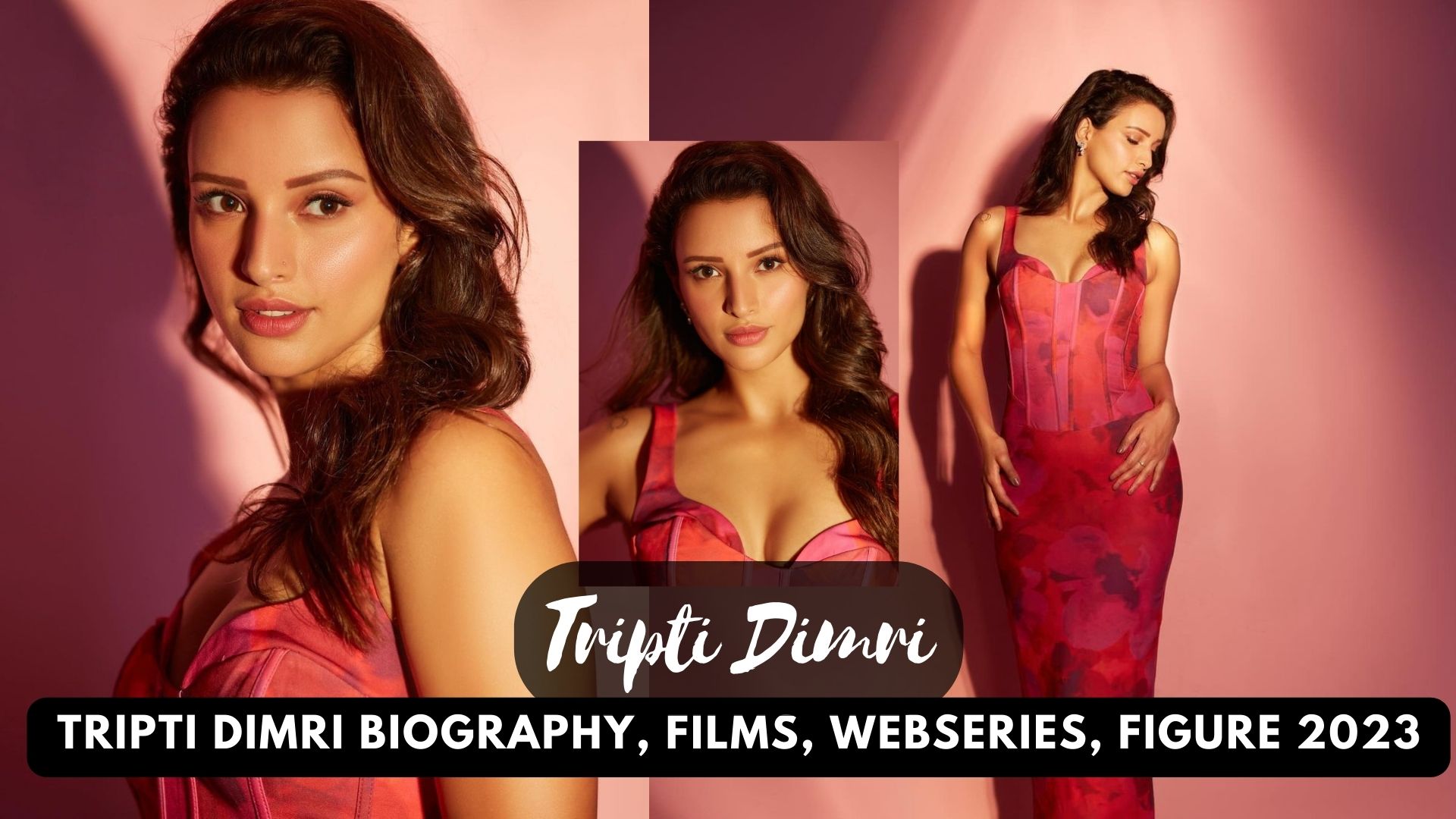 Tripti Dimri Biography, Films, Webseries, Figure 2023